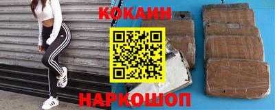стаф Кингисепп