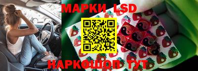 стаф Кингисепп