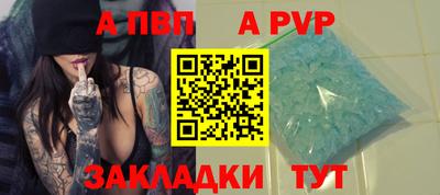 стаф Кингисепп