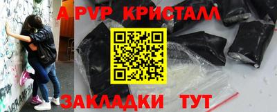 стаф Кингисепп