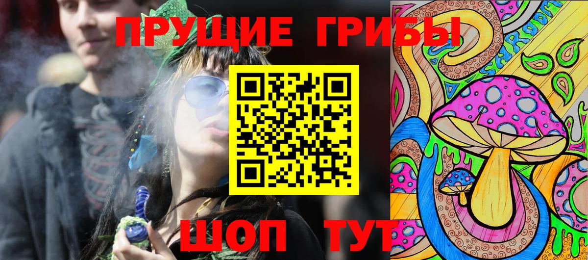 Псилоцибиновые грибы Cubensis Красноярск