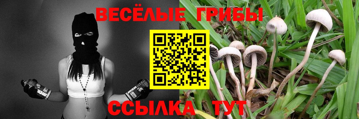 Красноярск  Псилоцибиновые грибы Psilocybine cubensis  купить  сайты  Вход с VPN 